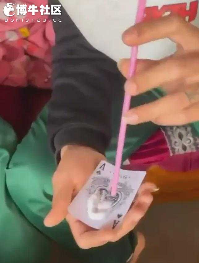 .jpg