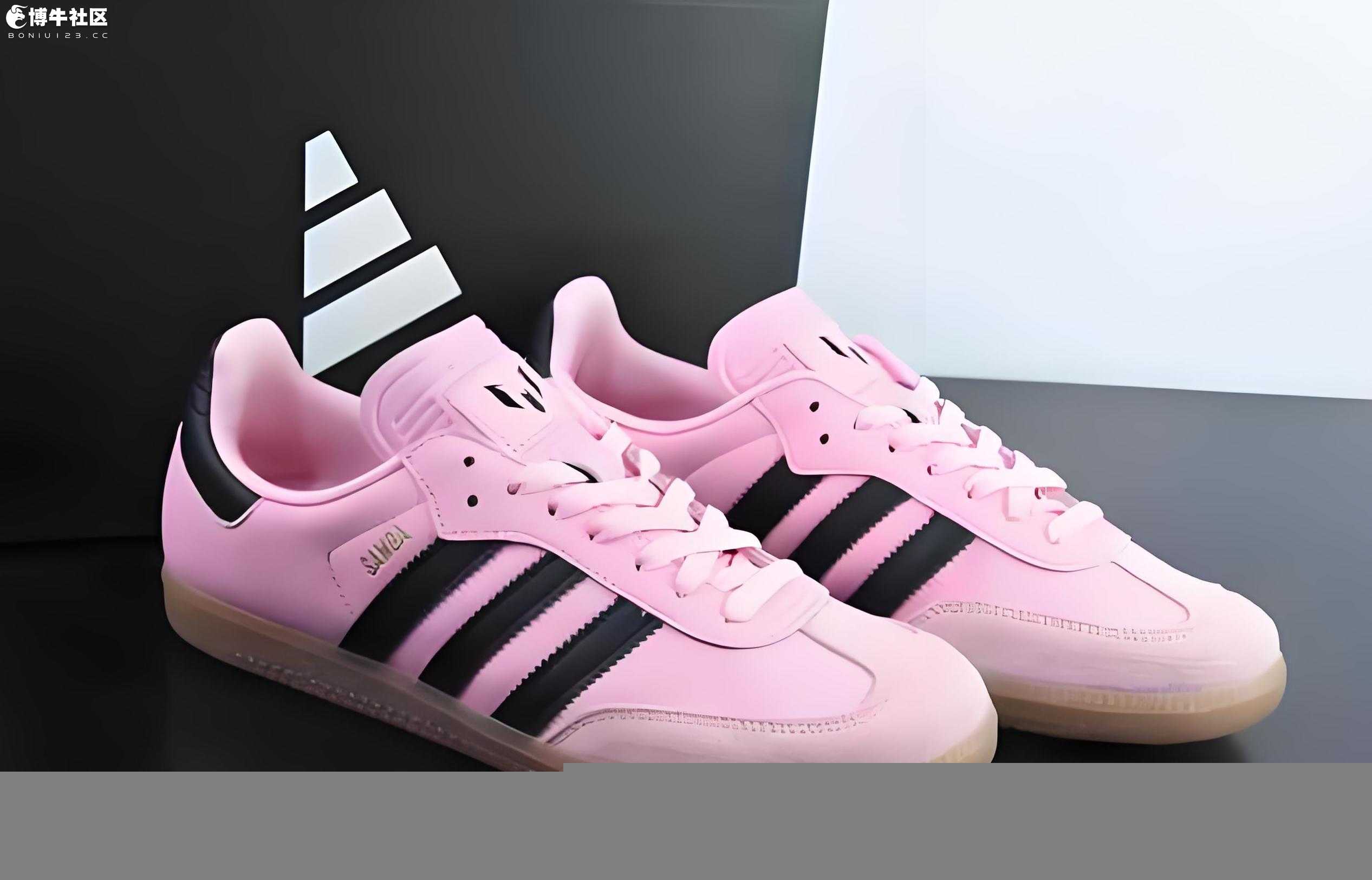 samba%201%20(6)-1.jpg.jpg