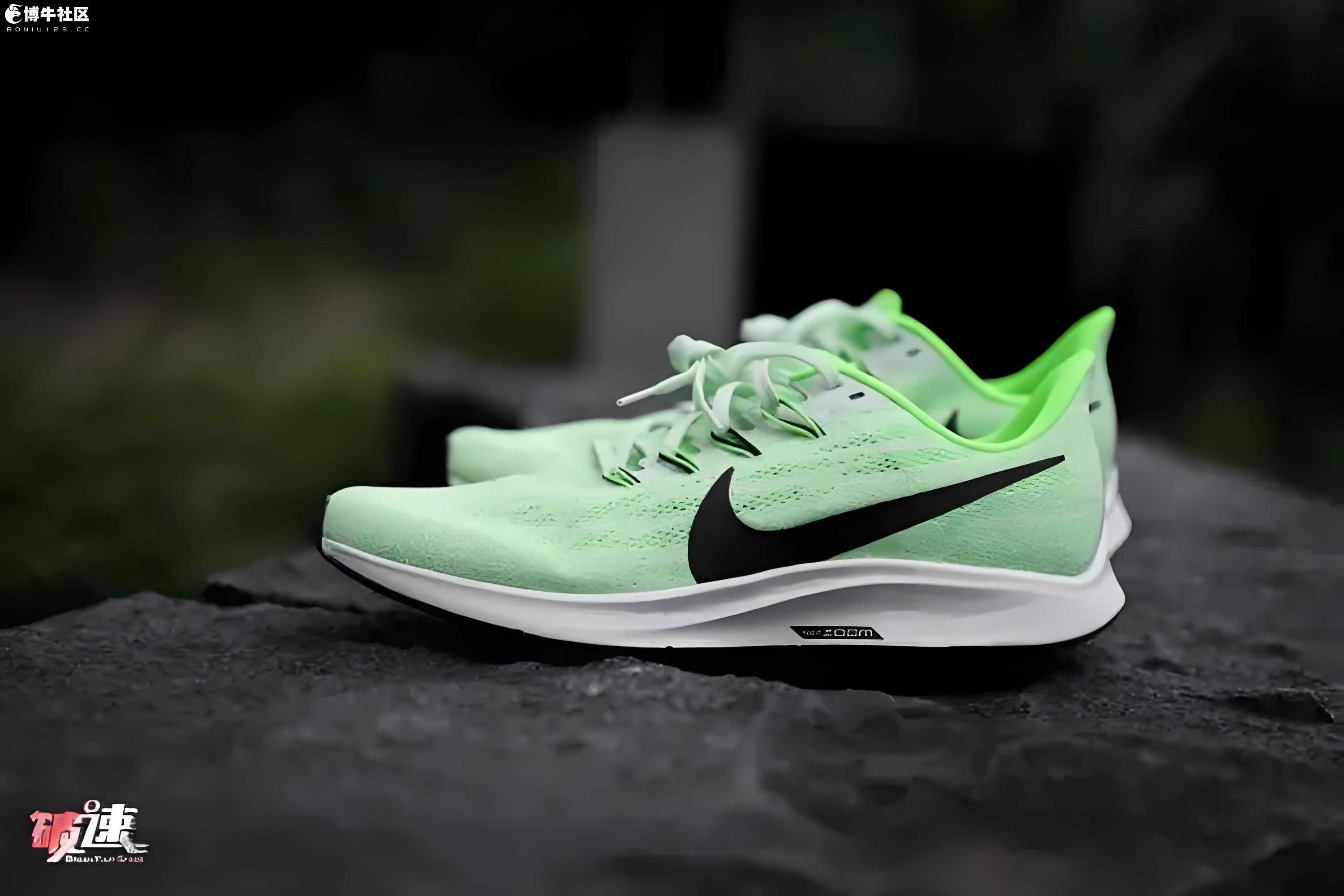 Nike%20Pegasus%20(2).jpg.jpg