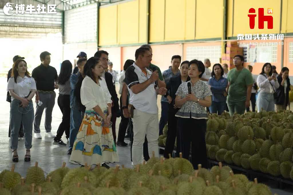 泰国加速农业软实力出海，引领榴莲等水果走向世界！