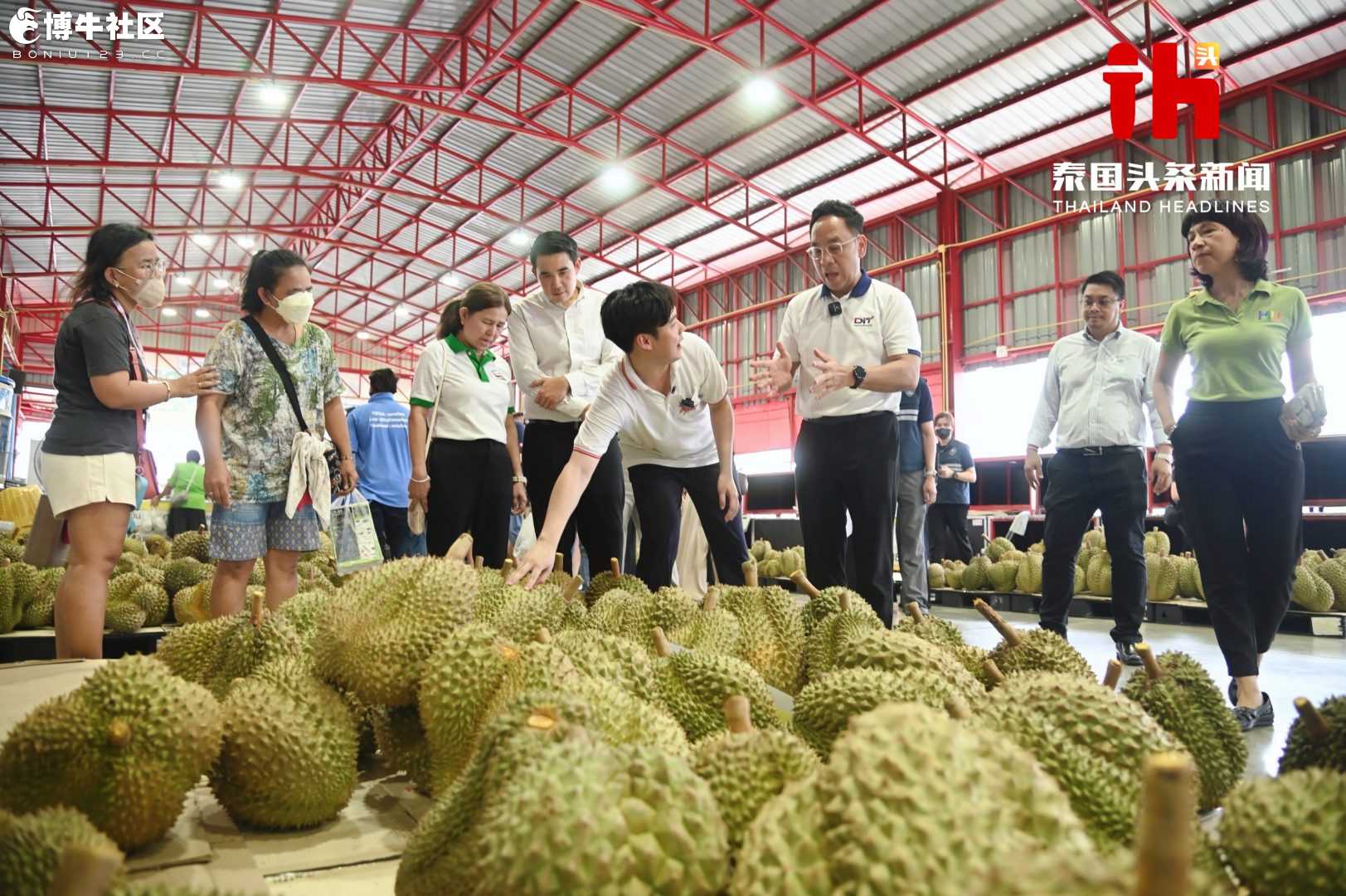 泰国启动2025水果节！每个榴莲99泰铢！