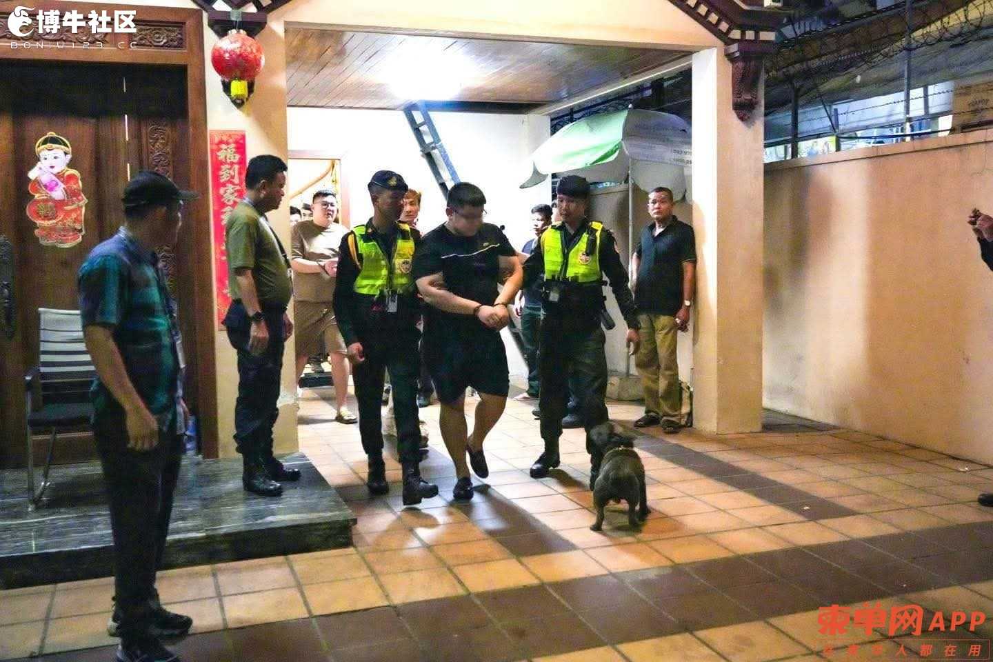 金边色情直播窝点被端，12人被捕包括6名中国人