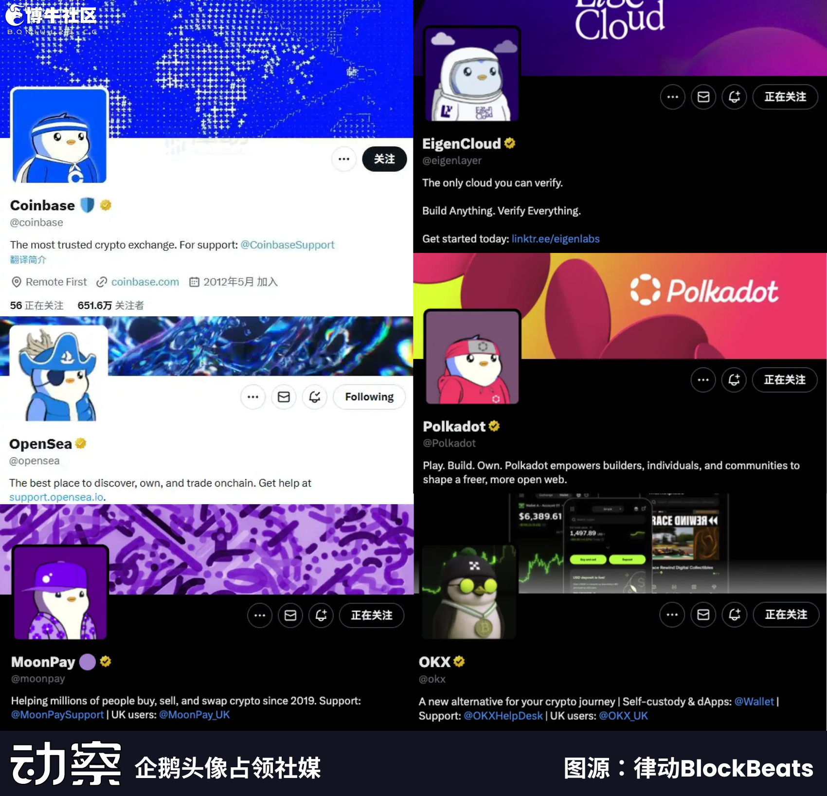 律动专访Pudgy Penguins CEO：我们要超越 Hello Kitty，也要超越 Pokémon